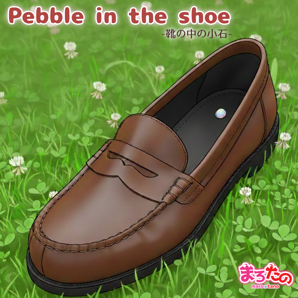 pebble in the shoe ジャケット